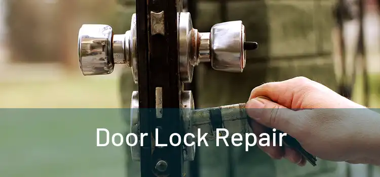 Door Lock Repair