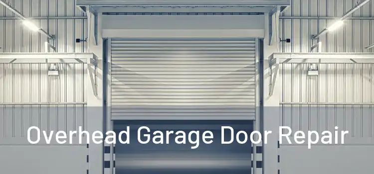 Overhead Garage Door Repair